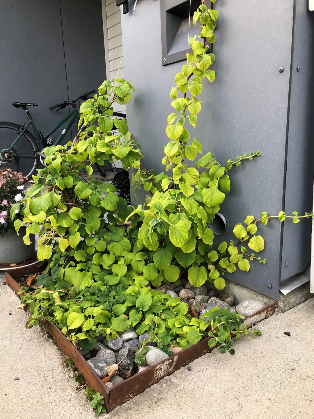 Takvann ledet til steinsatt bed i Ensjø, Oslo